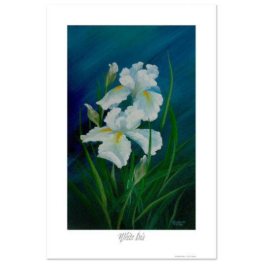 81b13bc8-cc81-40a8-9d67-92ef93a06211