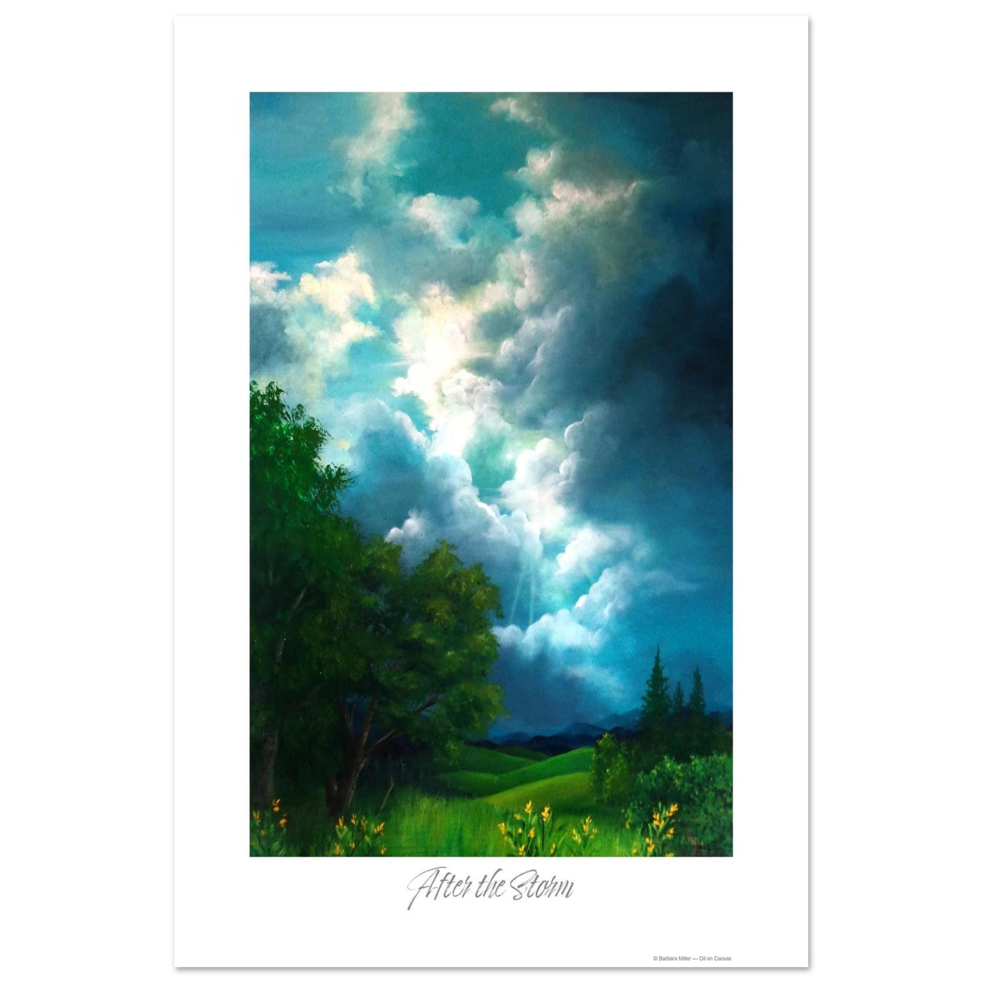 988e7161-e266-47f0-833a-4076b303dd79