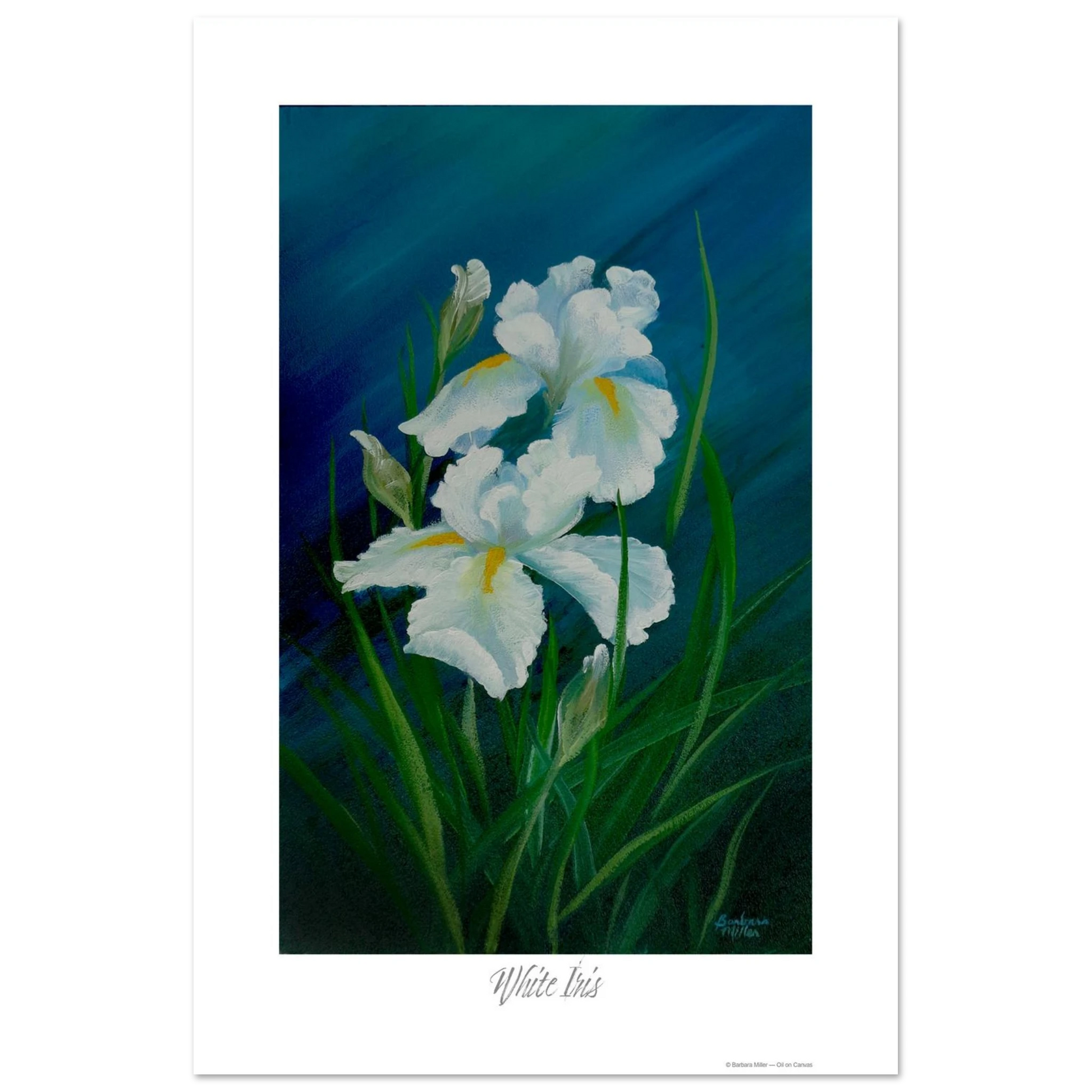 81b13bc8-cc81-40a8-9d67-92ef93a06211